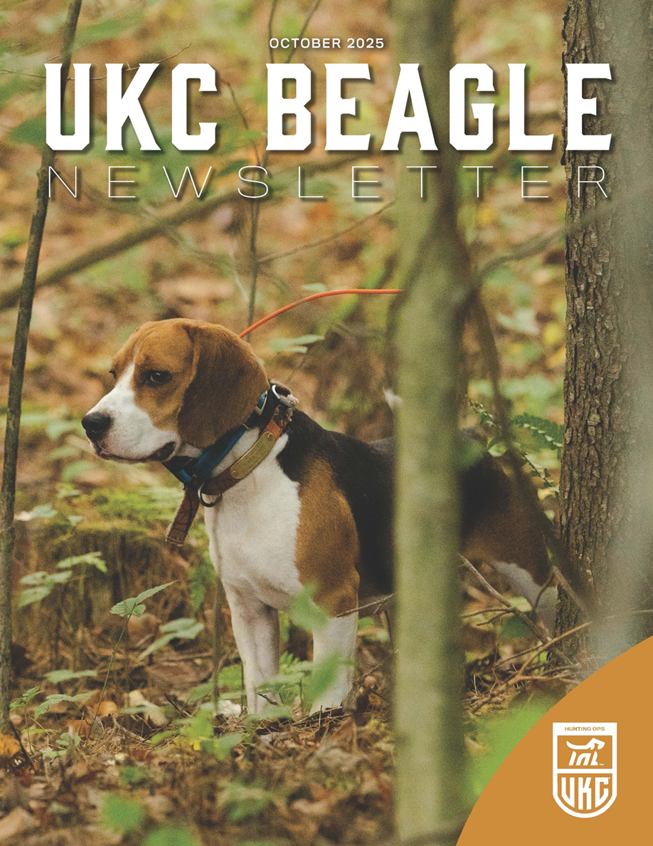 October 2025 UKC Beagle FC