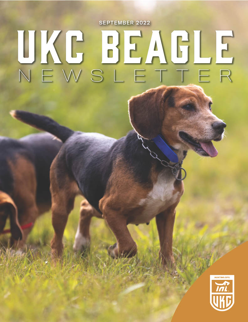Beagle Newsletter September 2022