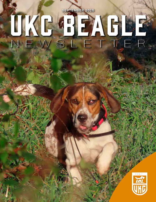 September 2025 Beagle Newsletter Cover
