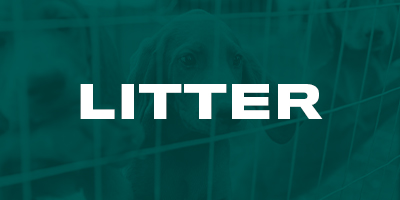 UKC Litter Registration