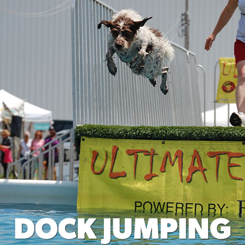 Dock Jumping