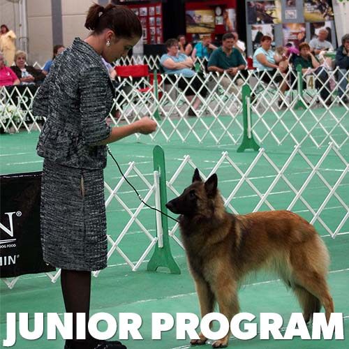 Junior Program