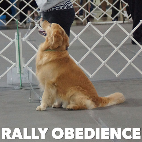 Rally Obedience