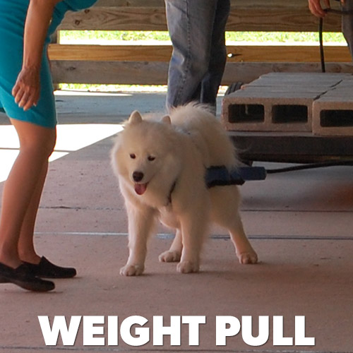 Weight Pull