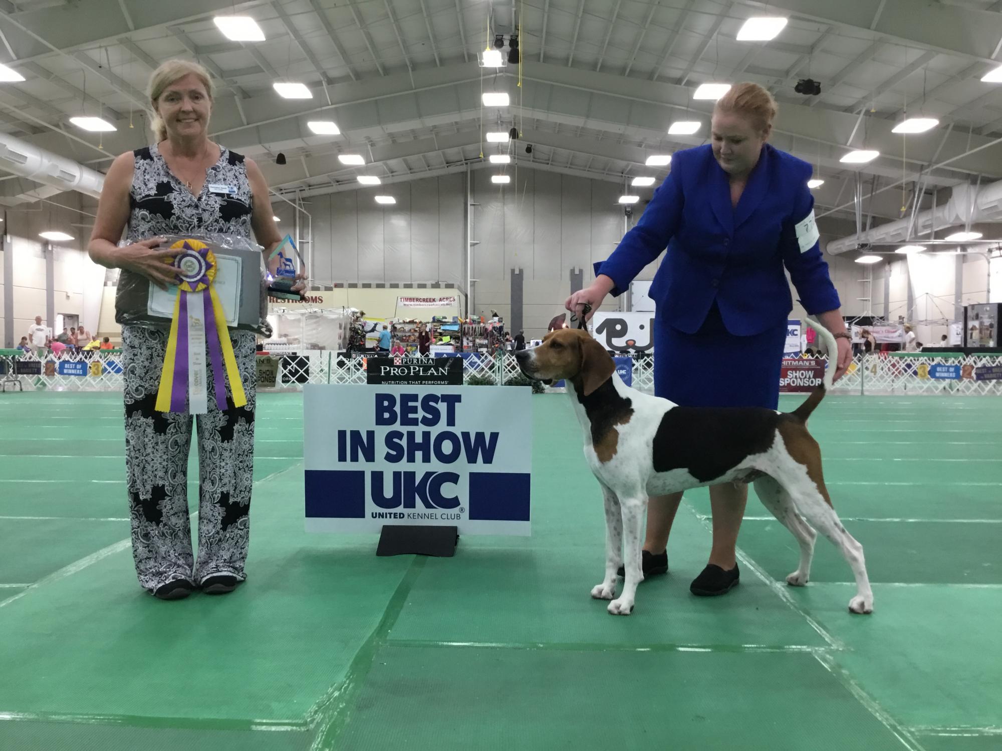 2017 Premier Saturday Best In Show