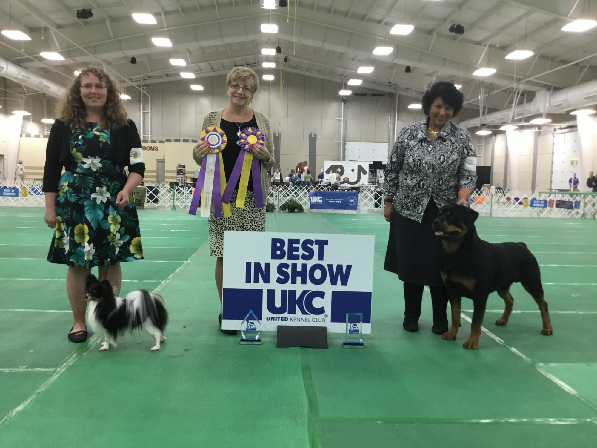 2017 Premier Sunday Best In Show