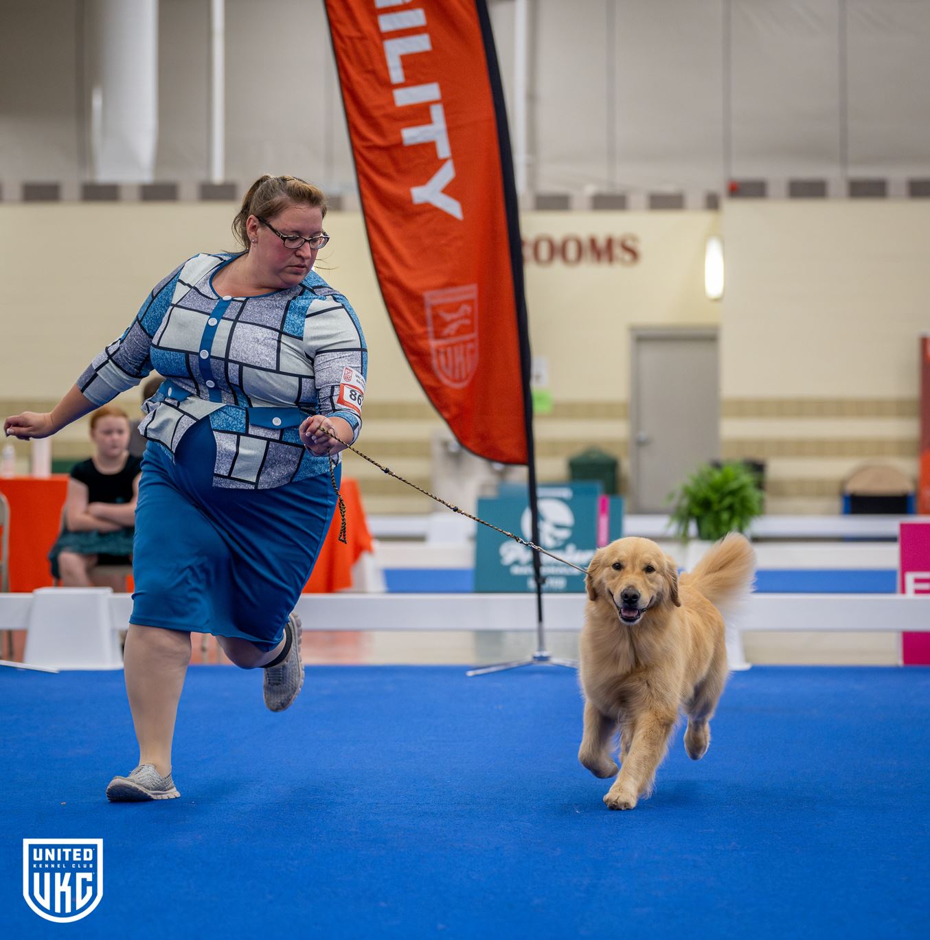 Premier 2025 Total Dog BIS