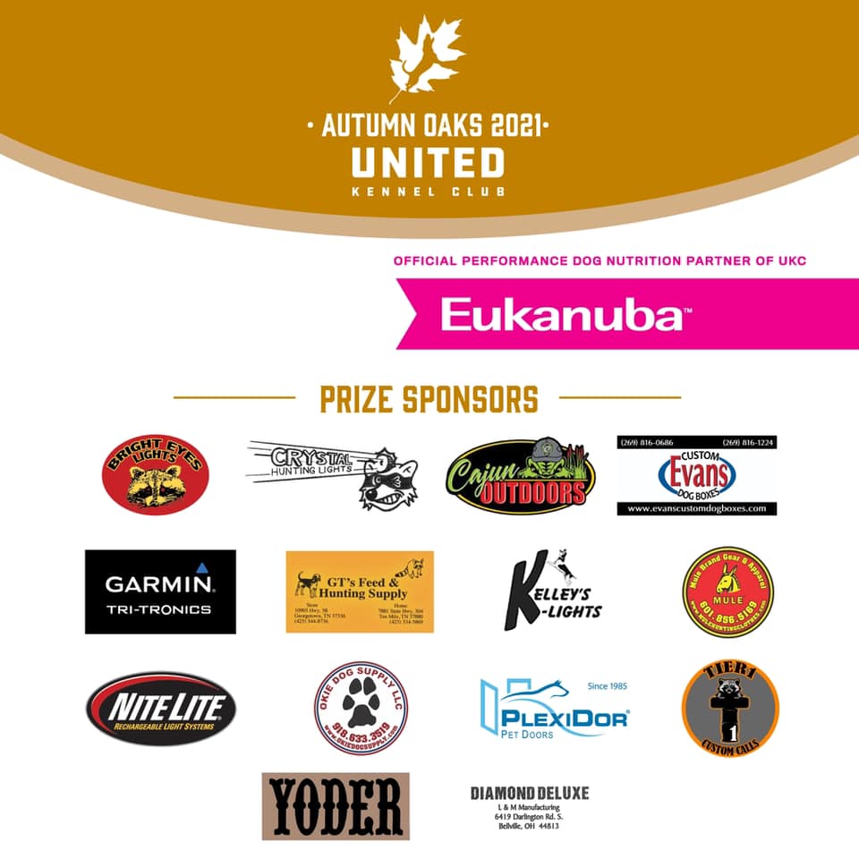 Thank you to our sponsors