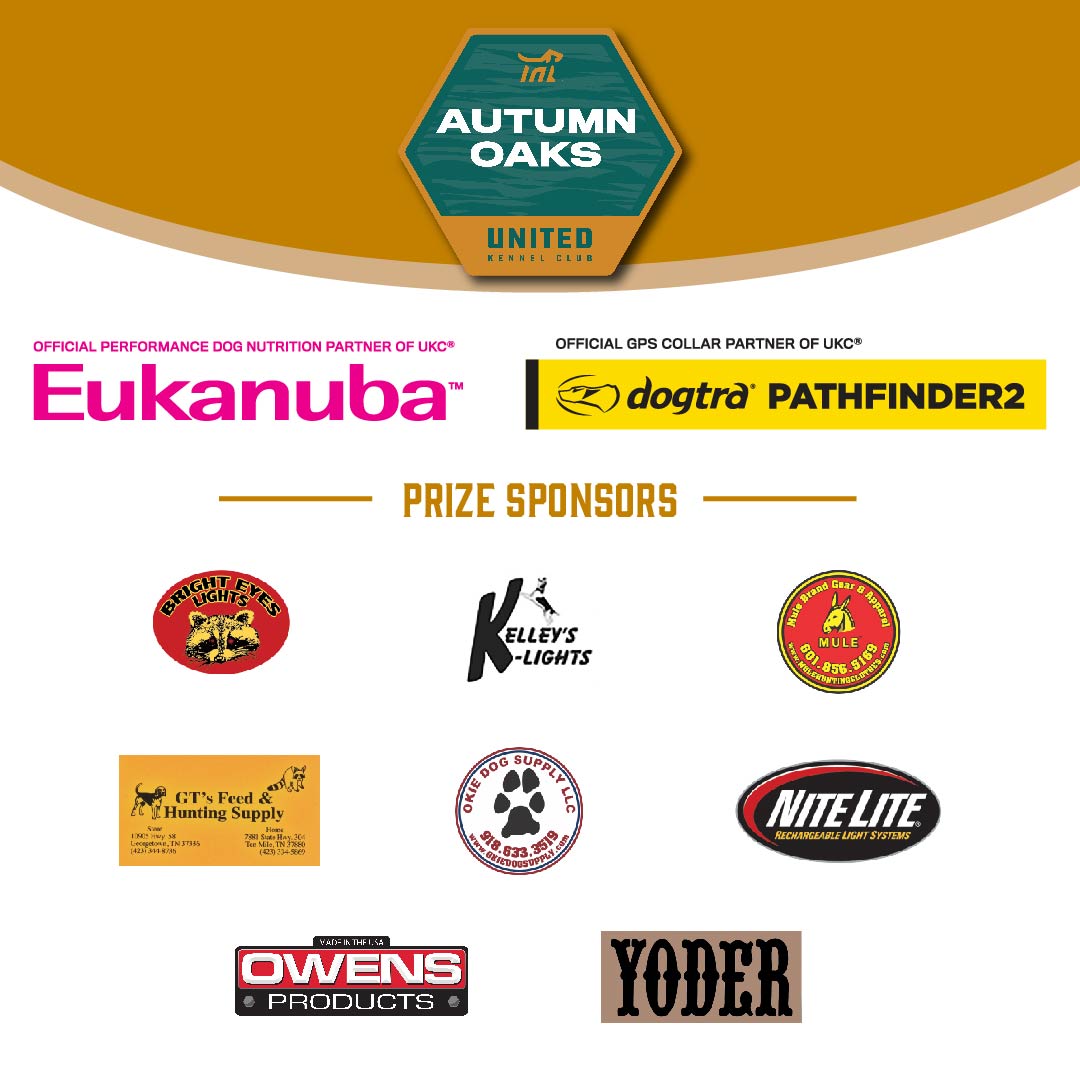 Thank you to our sponsors